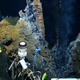 Illustration for article titled The First Pictures of Life in the Deepest Ocean Vents Ever Discovered